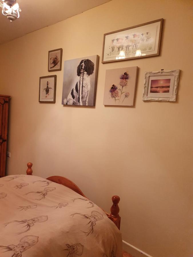 Apartamento The Aul Shop & Public House -Entire Private Annexe Kilcoo Exterior foto